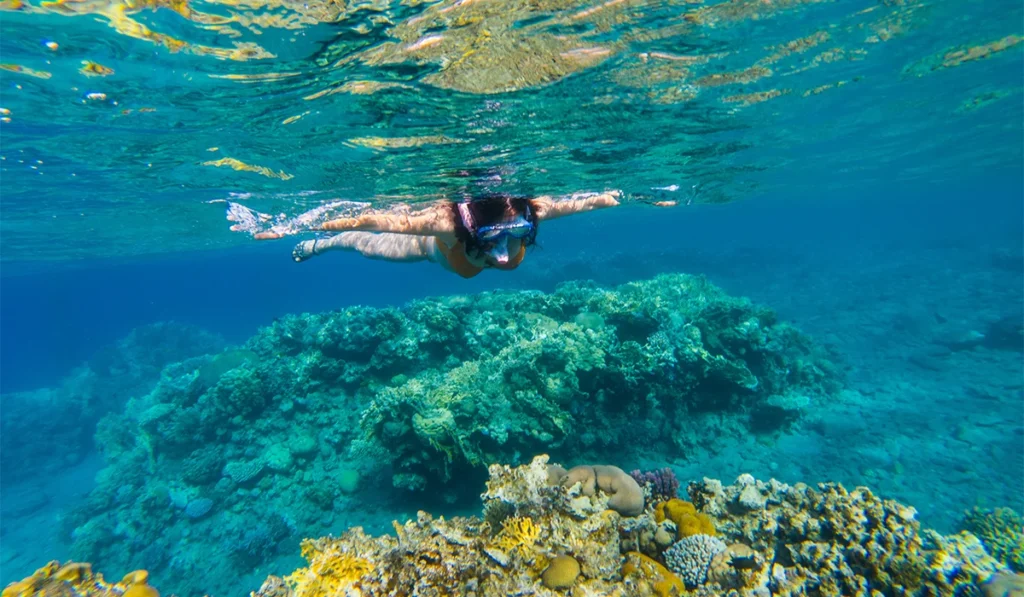 Agencia inmobiliaria en Playa del Carmen, México, Playa del Carmen, Quintana Roo